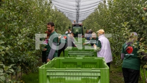 Javni poziv u novembru